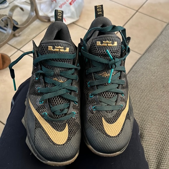 Nike Other - Nike Lebrons MEN